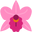 Orchid Oasis Massage logo